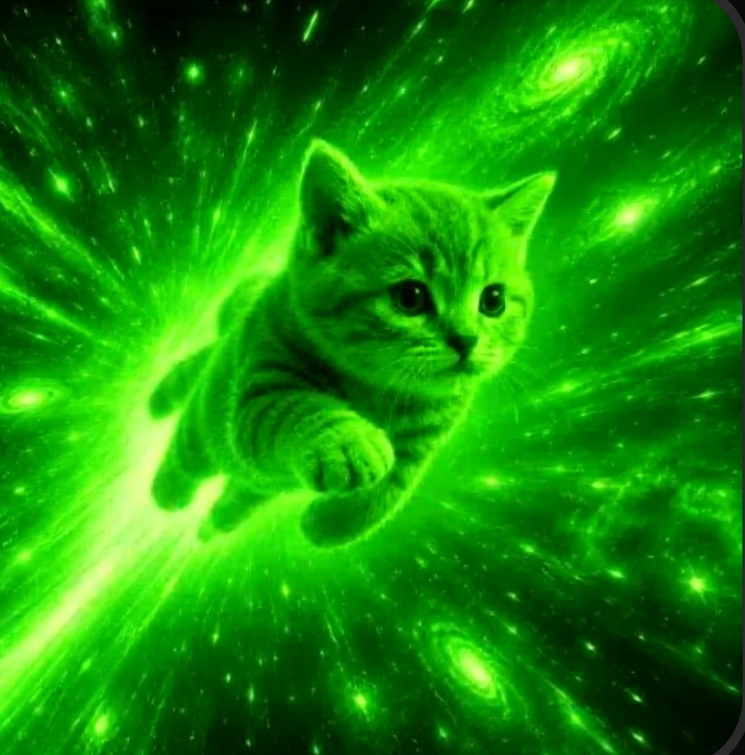 DemocracyUSD's tweet photo. Hey @KibiBot create token VladCat $VLADCAT on Flap RobinHood chain https://t.co/1ssMHLvM9D