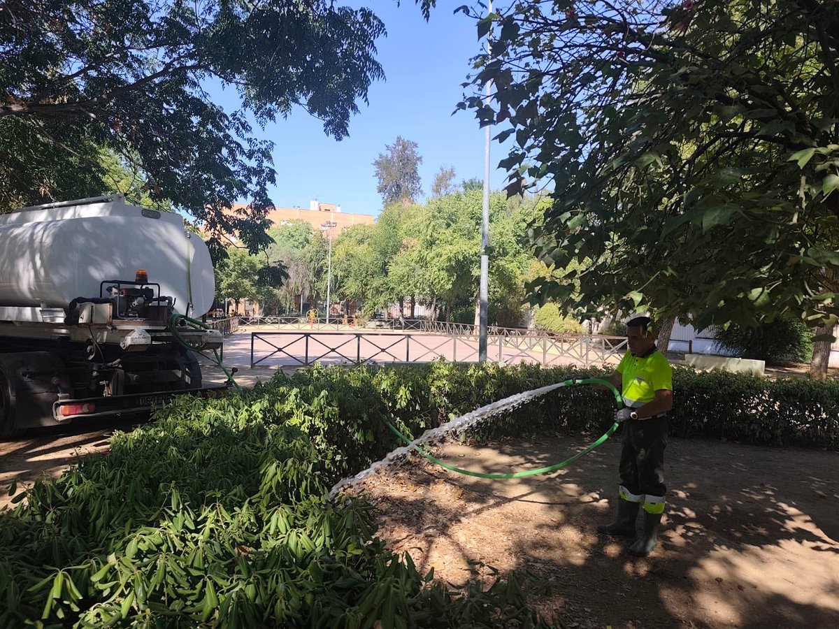 Dto_Sur's tweet photo. 🌳 Seguimos trabajando por todo el #DistritoSur.
💧 Riego
🌿 Poda y mantenimiento del arbolado
👷♂️ Cuidado de nuestras zonas verdes
Trabajo diario para mantener nuestros barrios en las mejores condiciones.
#SevillaEstáEnMarcha https://t.co/ISWlcmvt4D