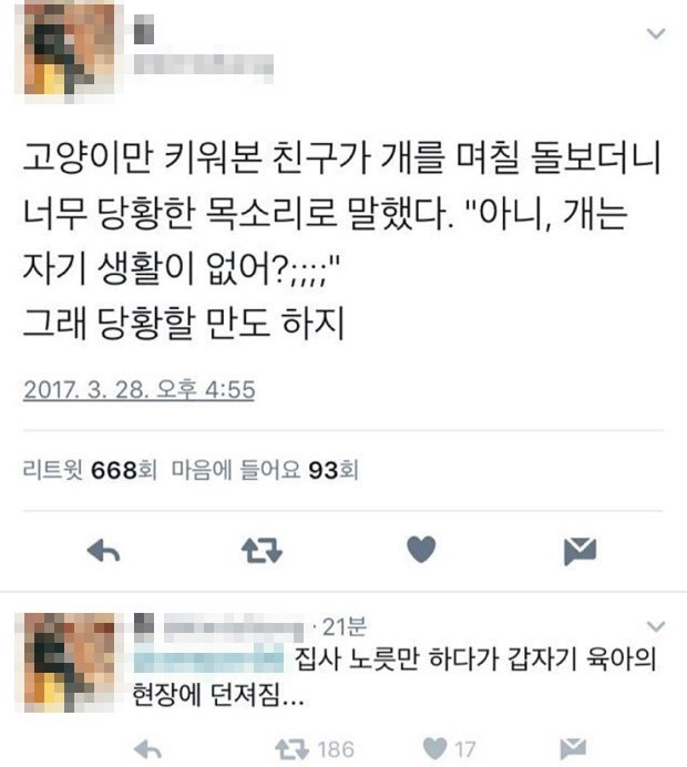 hona10127's tweet photo. 재멍이🐺
고양잇과 선배는 당황한 목소리로 말했다.
[개는 자기 생활이 없어?;;;;;] https://t.co/Pwd14oHnN7