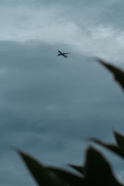 michaelhea_6il's tweet photo. your needs Let body return to body your as its natural state, warm oil ronald duvernois🧗 https://t.co/iDdP6eaCAa