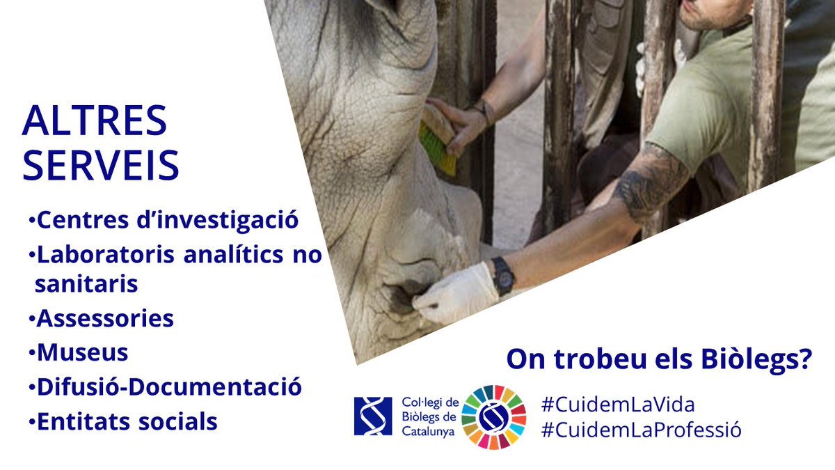 BiolegsCAT's tweet photo. On podeu trobar els #Professionals de la #Biologia⁉️
En quins àmbits o sectors treballen?
Oferint serveis a centres de recerca, laboratoris no sanitaris, assessories, museus, entitats socials, i en difusió i documentació. 

#BiòlegsCAT
#CuidemLaVida
#CuidemLaProfessió https://t.co/f5ZJln61nY