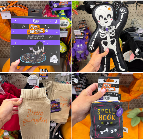 FaradayRetail's tweet photo. ๐๐พ Who says August is too early for Halloween?
@petsukofficial are getting spooky early because, apparently, itโs what the pets want! ๐ป๐ถ๐ฑ
Check out the Halloween goodies landing in store now! ๐ฆ๐งก
#PetsUK #Halloween #SpookySeason #PetLife #Halloweenpets https://t.co/oyXaHTqHQn