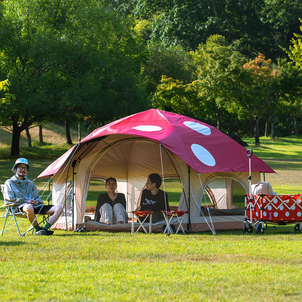 dod_camp's tweet photo. ／
DCM限定POPUP
キノコ祭り開催決定🍄📣
＼
2026年9月4日（金）より、全国のホームセンター「DCM」（対象21店舗）にてDODの特別ポップアップを開催いたします🎊

新発売のキノコテントリニューアルモデル #キノコテント2  の登場を記念して「ペリーワゴン」や「モブチェア」が”キノコ化”🍄

さらに、新しく仲間入りした #キノコココシート も店頭に並びます！

━━━━━━━━━━━━
✨ 注目ラインナップ ✨
━━━━━━━━━━━━

■ #キノコテント2 （9/4発売）
ワンタッチ構造ならではの立てやすさと、ワンルームの過ごしやすさでファミリー層に大人気の「キノコテント」が、2018年の発売以来初のリニューアル！

“大人2人・子ども2人サイズ”→”大人4人でもゆったり過ごせる広さ”にサイズアップしたほか、遮光率99.9%のブラックコーティング追加や、大人の出入りがスムーズなドア構造へとアップデートしました。

■ #ペリーワゴン  新色・キノコレッド（9/4発売）

フレーム構造の見直しにより、軽量コンパクト化と容量アップを両立さた「ペリーワゴン」が“キノコ化”！

赤ドット柄にキノコテント本体と同色のベージュフレームを組み合わせたキノコデザインです🍄

■ #モブチェア  新色・キノコレッド（9/4発売）
フェスや行列の待ち時間などに手軽に持ち運べるコンパクトチェア「モブチェア」にも、愛らしい赤ドット＆ベージュカラーのキノコモデルが仲間入り！

本製品を店頭で見れるのはDCMだけです🍄👀

■ #キノコココシート （9/4発売）
手のひらサイズのキノコチャームに、約90×50cmのレジャーシートをギュッと収納した新商品が登場！
バッグに取り付けていつでも持ち歩け、散歩やテーマパークの場所取り、荷物置きなどでサッと座れる便利なキノコギアです🍄

━━━━━━━━━━━━
 　 📅 開催期間 📅
━━━━━━━━━━━━
2026年9月4日（金）～ 
※2026年10月頃より第二弾を開催予定。

━━━━━━━━━━━━
 　 📍 対象店舗📍
━━━━━━━━━━━━
全国のホームセンター「DCM」（対象21店舗）
詳細はDOD公式ブランドページのお知らせよりご確認ください。

https://t.co/o9PGqa5D87

※展示・販売状況は店舗により異なるため各店舗へお問い合わせください。

新種の推しキノコはございましたでしょうか🍄

みなさまのご来店をお待ちしておりまーーーーす！！🐰