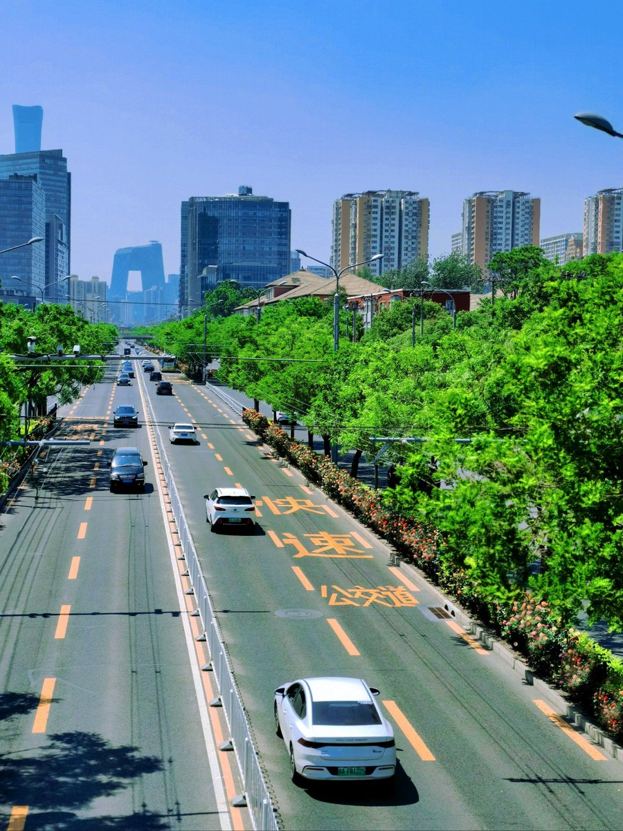 diyaspxdgkswg's tweet photo. Join our weekend community clean-up at Central Park! Meet this Sat 9AM, bring gloves u0026 water. Let’s green our neighborhood together! https://t.co/1pvcNZeKYz