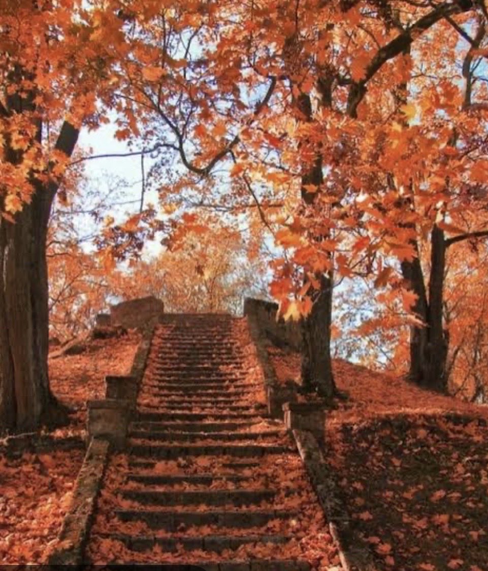 genelahmet's tweet photo. #Herkesin bir "SONBAHARI"
vardır.
Kiminin  "YAŞLANMADAN"'
yaşadığı,
Kiminin "YAŞAMADAN"
yaşlandığı.
Hüzün değil. Huzur getir.
SONBAHAR https://t.co/Gw0lbttpe6