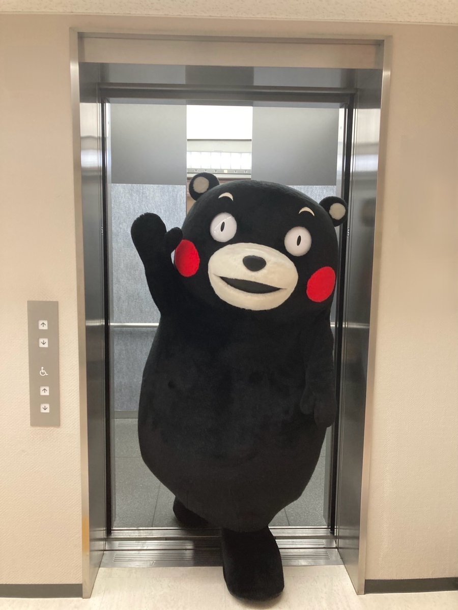 55_kumamon's tweet photo. おやくま～☆ https://t.co/GLfyactT9T