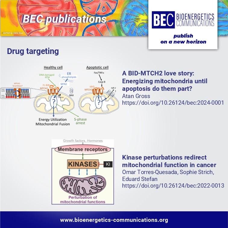 bioenerg_commun's tweet photo. Mitochondria are increasingly recognized as actionable targets in disease. These BEC papers look at different approaches, from targeting signaling pathways and mitochondrial metabolites to developing compounds for mitochondrial disease and cancer.
#DrugTargeting
Links👇 https://t.co/cm37NPPk7W