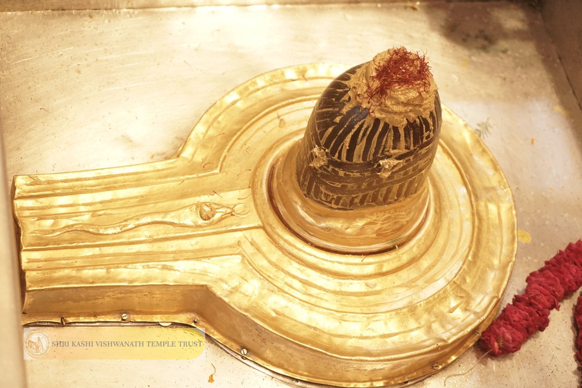 ShriVishwanath's tweet photo. श्री काशी विश्वनाथ जी की मध्यान्ह-भोग आरती I
#kashi #darshan #kashivishwanath #VishwanathDham #blessings https://t.co/lHd7VTQqgk