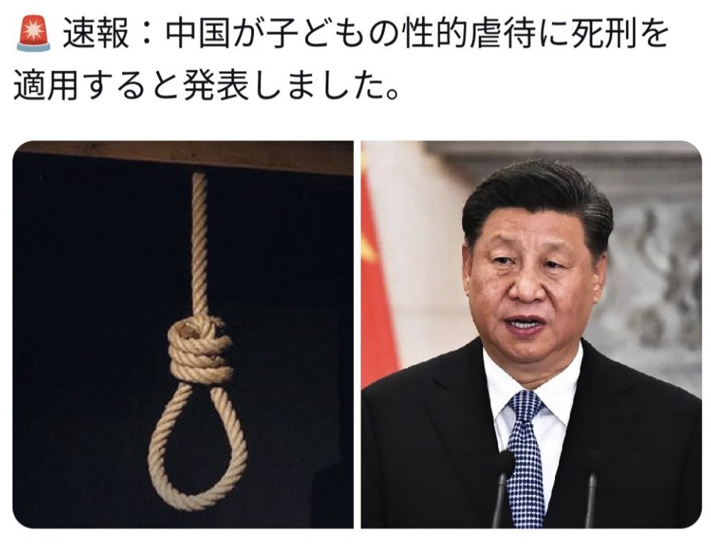 SamuraiShibaJP's tweet photo. はじめて中国が正しいと思った人✋ https://t.co/CwHqV8FHxA