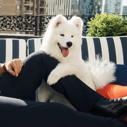 replover4eva's tweet photo. The absolute cutest little nugget!!! I wonder why we don’t get to know its name yet 🥲 https://t.co/KYQDz3vC7U