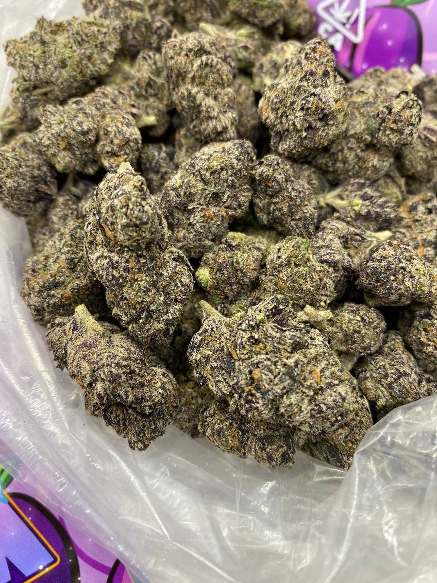 Stonersplug2's tweet photo. SAME DAY EXOTIC CANDY WEED DELIVERY REAL ZAZA Cali kush buds flower THC Vape Hash Hradec Králové
Sofia, Plovdiv, Varna, Burgas, Ruse, Stara Zagora, Pleven, Veliko Tarnovo, Vienna, Salzburg, Graz, Innsbruck, Linz, Klagenfurt, Villach, Wels, Minsk, Gomel, Mogilev, Vitebsk, Grodno https://t.co/JG8qNXqakI