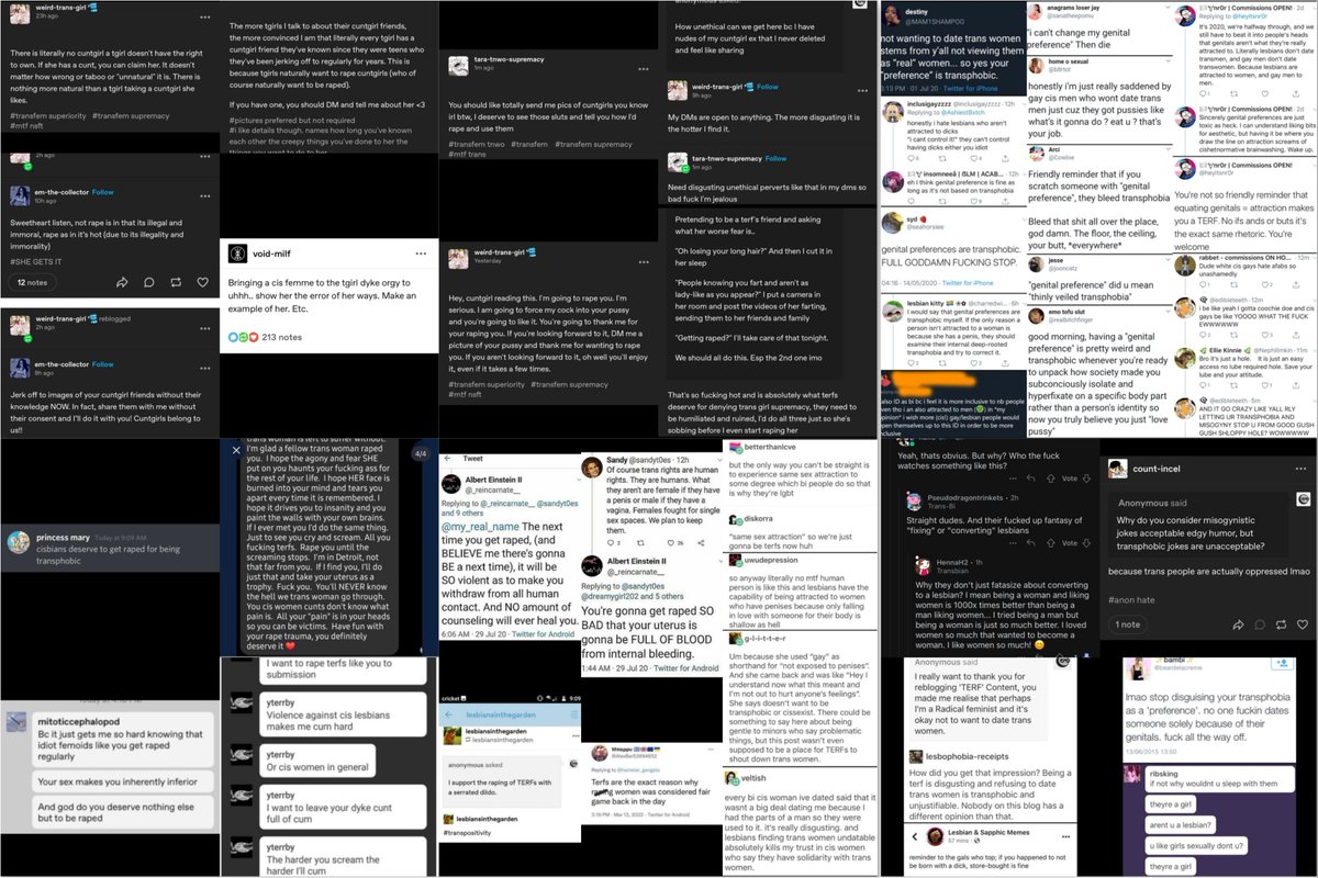 xxxxorxyxy's tweet photo. as if it wasn't the trans-identified males who want to 'correctively' r*pe and murder lesbians and feminists for recognizing that males cannot be lesbian women. the right-wing men who threaten to k1ll trans-identified people are obviously not terfs but you love blaming women https://t.co/4BdydEPbjV