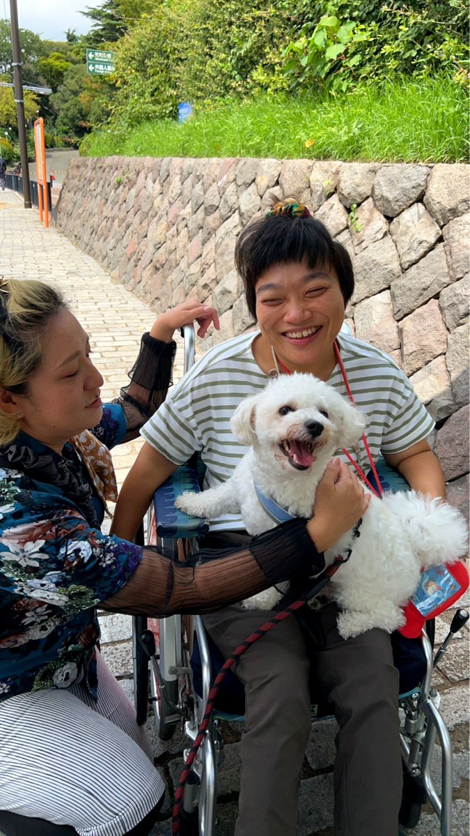 MZE_1123's tweet photo. カブキのお誘いでかこさとし展からの横浜散歩。福原さんの息子さんとししまるちゃんに会う🥰カブキが船に乗りたいと言うのでシーバスに乗る🚢なかなかの充実散歩でした。

#にじ屋 https://t.co/EE5CAgG6dZ