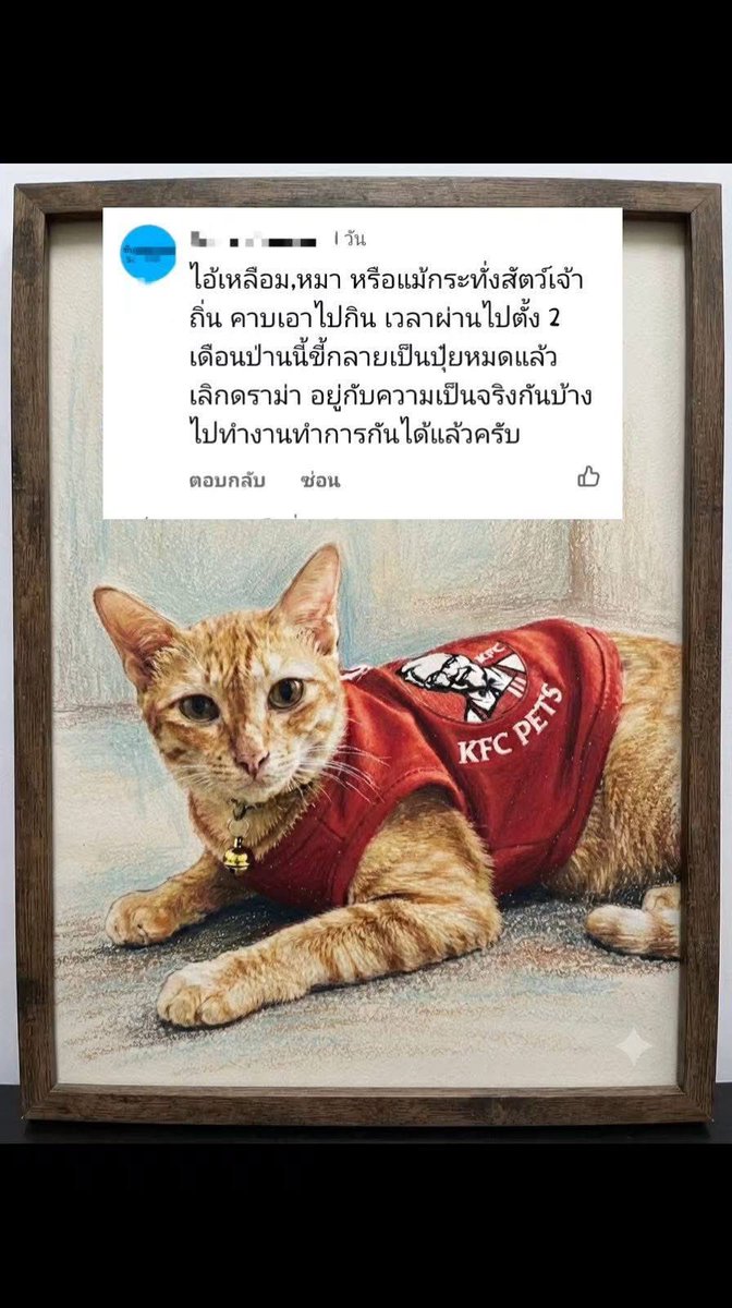 KhaohomSiri's tweet photo. อย่าบั่นทอนกันเลย ทุกคนพยายามอย่างเต็มที่แล้ว ไม่ให้กำลังใจก็อยู่เฉยๆดีกว่า

Cr. เพจบ้านนี้ มีแมว 

 #แมวหายบนรถไฟ #น้องสีส้ม https://t.co/3YOsYZsTmc