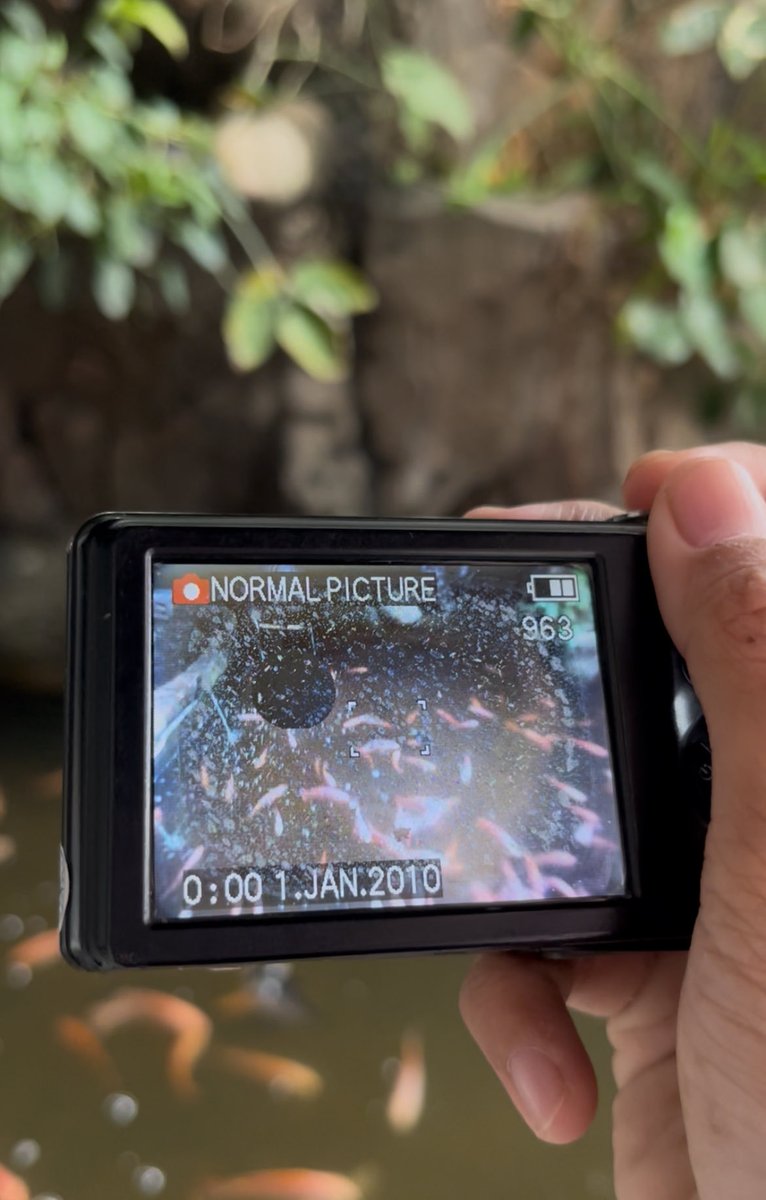 itsren68's tweet photo. #WTS #zonauang 
“BU cepat”
Digicam Lumix Dcm-F3
500.000 ,negoin
minus layar kayak slide 3
(lainnya aman👍🏻)
bisa oren🍊+admin https://t.co/bFcK15Uwpm