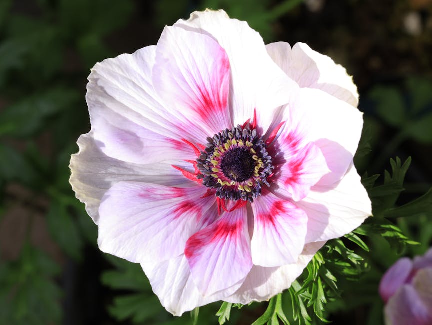 RoxanneGoettel's tweet photo. عند منظر بحري صباحي، يلاحظ الفنان رسم الضوء هادئة الخافت المنعكس على الأمواج، وظلال القوارب، والشاطئ الرملي، مما يخلق صورة ونابضة بالحياة. marcy alquesta https://t.co/WGhsw8HQfG