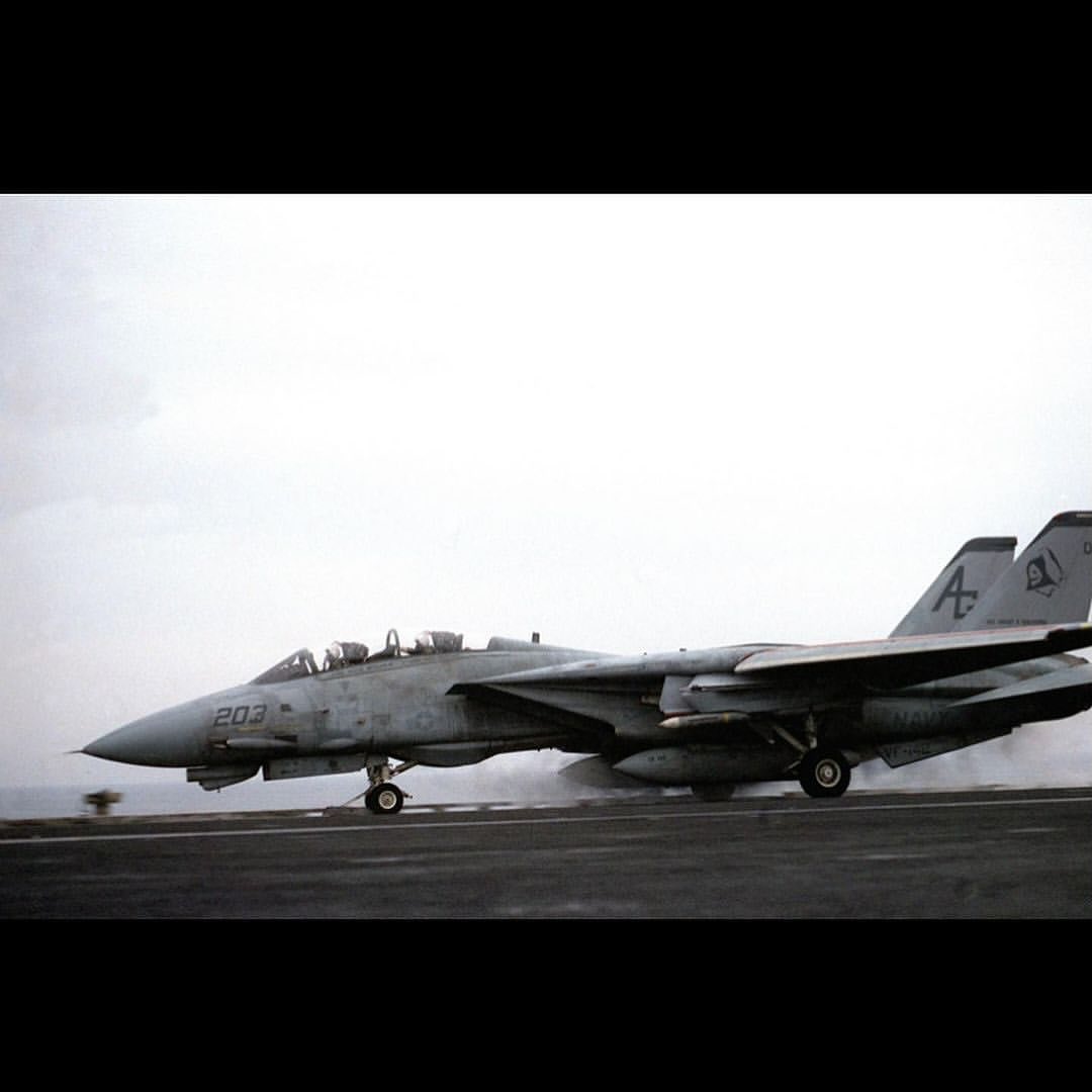 TOMCATCO71's tweet photo. Tomcat Tuesday! Hope y'all doing great.. https://t.co/4H5IgFCgkE