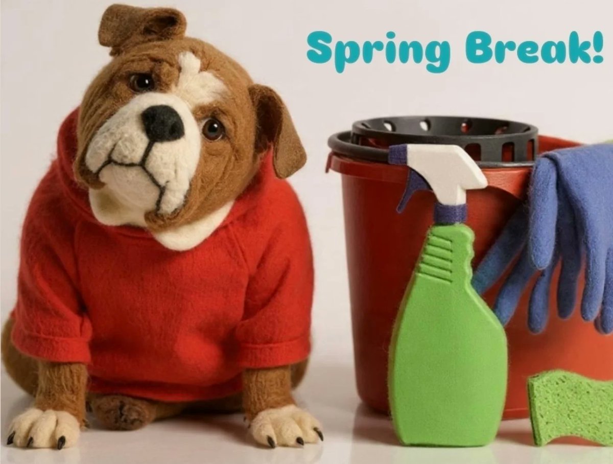 AlexisDawkiod's tweet photo. It’s spring break! Whether you’re on vacation, decluttering, or powering through work, check in with your body—maybe it’s time for a massage break. https://t.co/C4Td1OUIG6