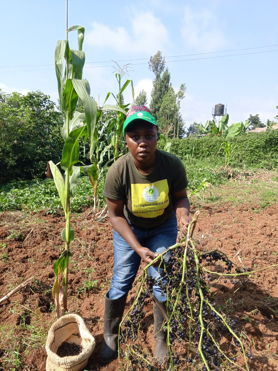 VHNhenry's tweet photo. Our Stories Matter Because Nutrition Matters!
Out of the 17SDGs, we are contributing to 7.
a) No poverty.
b) Zero hunger.
c) Good health and well-being.
d) Gender equality.
e) Sustainable cities and communities.
f) Climate action.
g) Life on land.

Watch: https://t.co/2XnUUBVW01 https://t.co/HfUnd6OSCG