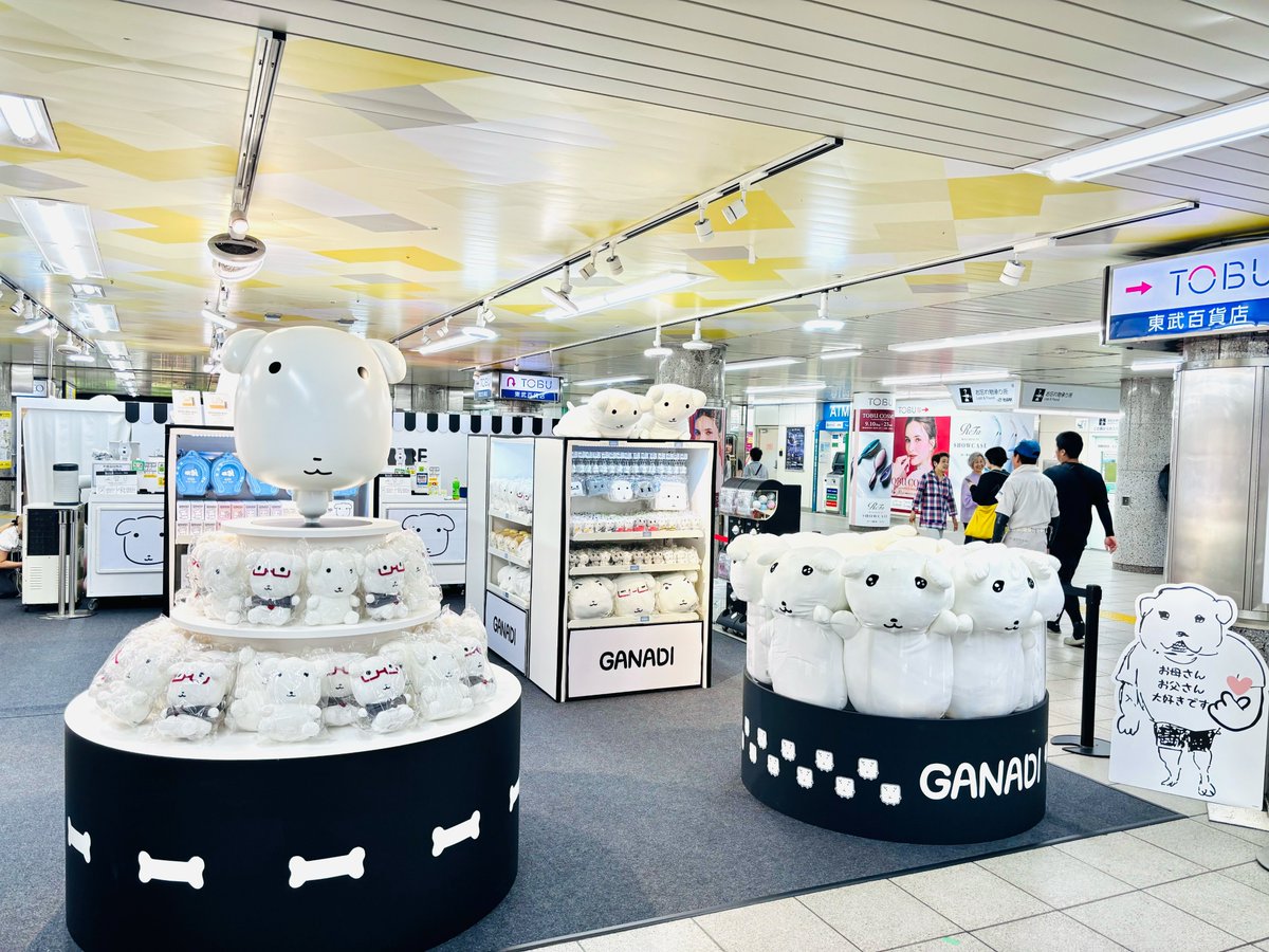 Juice_inc_'s tweet photo. ＼ JR池袋駅 開催決定 ／
GANADI POP UP STORE

JR池袋駅にて本日からOPEN！

人気だった限定商品と、
ガナディらしいモノクロの世界がJR池袋駅に登場🦴

▼詳しくはこちら
　https://t.co/MytXl1yw0e

〇会場
　JR池袋駅南改札外イベントスペース

〇開催期間
　2026年9月1日(火)～2026年9月10日(木)

◯営業時間
　10:00-21:00
　※初日13:00開場　最終日 18:00閉場

#GANADI #ガナディ