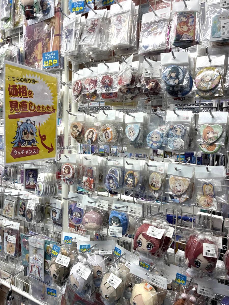 活動歴および当時の関連ビジュアル記録