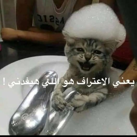Mohamed_Ah_11's tweet photo. لما الضابط يقول للمتهم اعترف الانكار مش هيفيدك.. https://t.co/iUlJpB1QQM