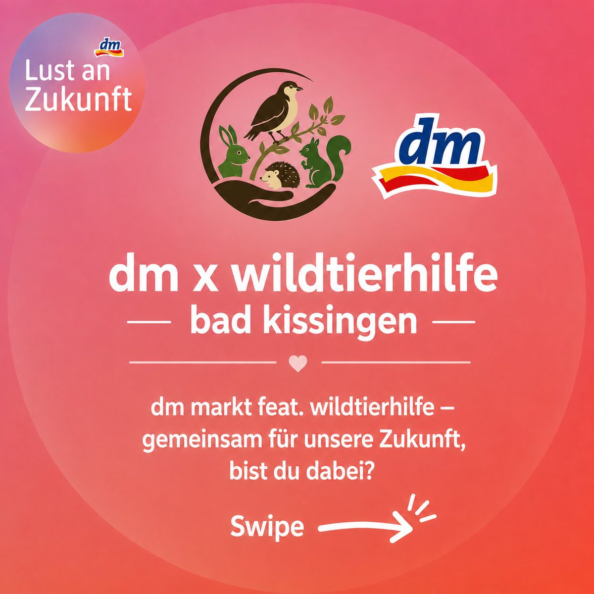 wildtierhilfeKG's tweet photo. dm Markt Deutschland fördert ehrenamtliche Projekte und ich bin mit dabei 🥹 hier kann man online abstimmen: https://t.co/bipsqotszr
Ich würde mit dem Geld gern den Schutz der Igel in der Region verbessern, da die Not hier groß und die Hilfe sehr begrenzt ist. ❤️ https://t.co/05fgXJSWjb