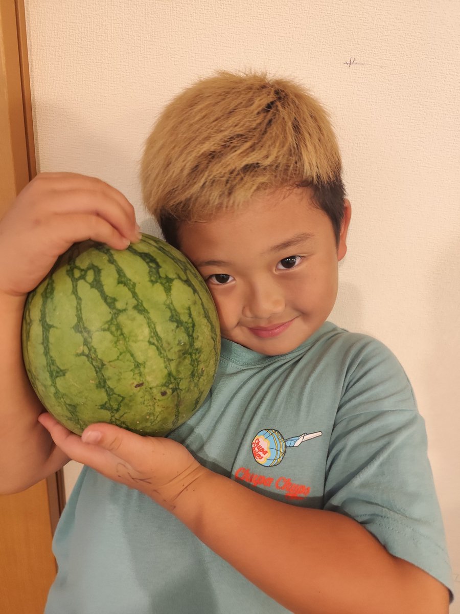 ayuuu2018's tweet photo. スイカできたぞー🍉 https://t.co/hMiAriMMNZ