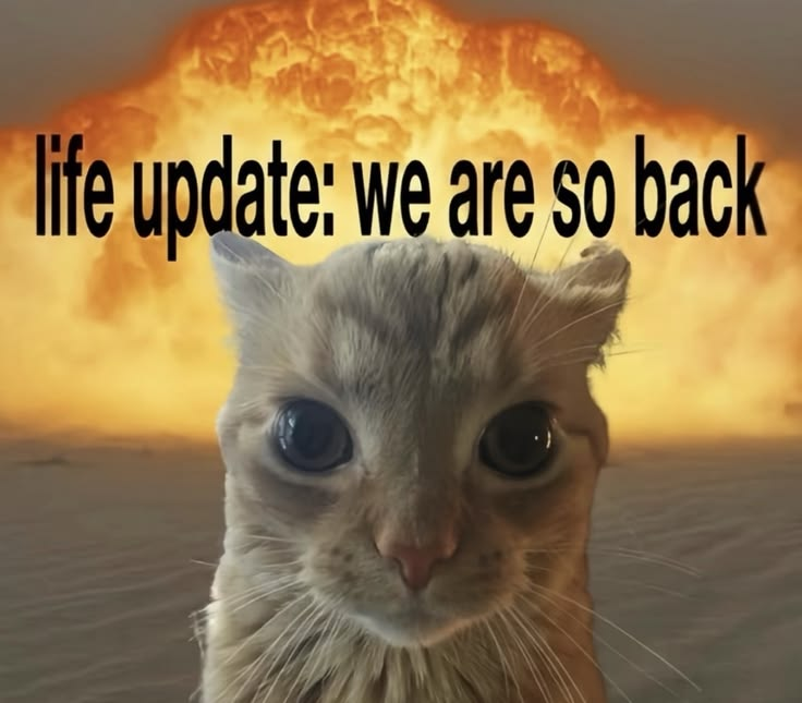 SuperteamEarn's tweet photo. "credits renewed for september"

me: https://t.co/O4sWyeUALx
