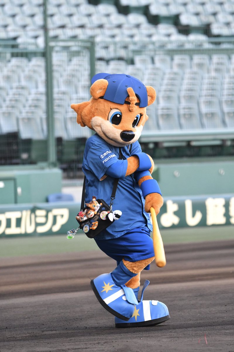 _mmchan20's tweet photo. ファーストピッチ田村さんでデッドボール当てられてて大爆笑したWWWWWWWW
#キー太 #北海道日本ハムファイターズ https://t.co/QqvXI0hkxP