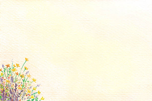 MiraSahincple's tweet photo. 热情 流年 宁静 @grok https://t.co/17k3CcvCSx