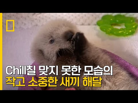 mymemeboxx's tweet photo. 이 영상입니다 여러분 보시고 행복해지세요

https://t.co/MBE9pcyCU1 https://t.co/6dF10xutvS