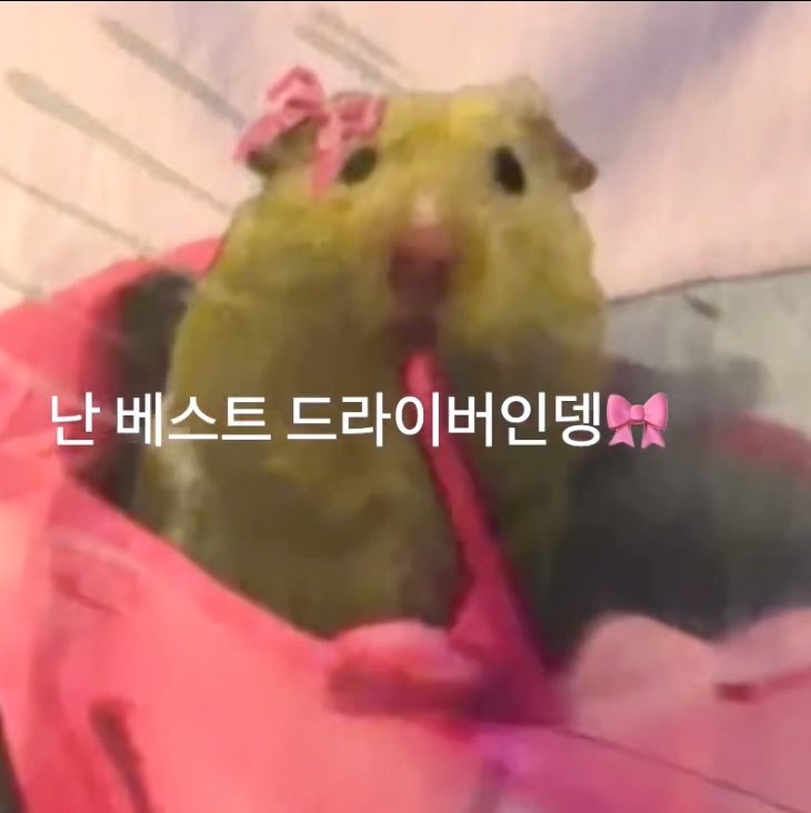 Byul2_hamster's tweet photo. 누가햄스터게? https://t.co/2FeJyCi8lh