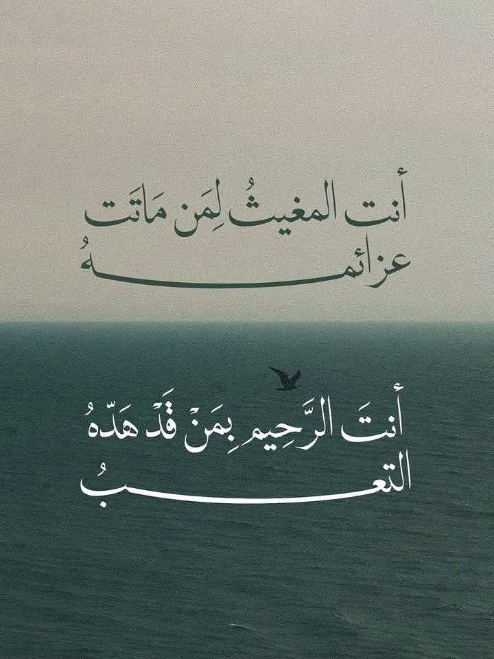 motm2na_'s tweet photo. يا الله🤍.. https://t.co/pv1KM8ya40