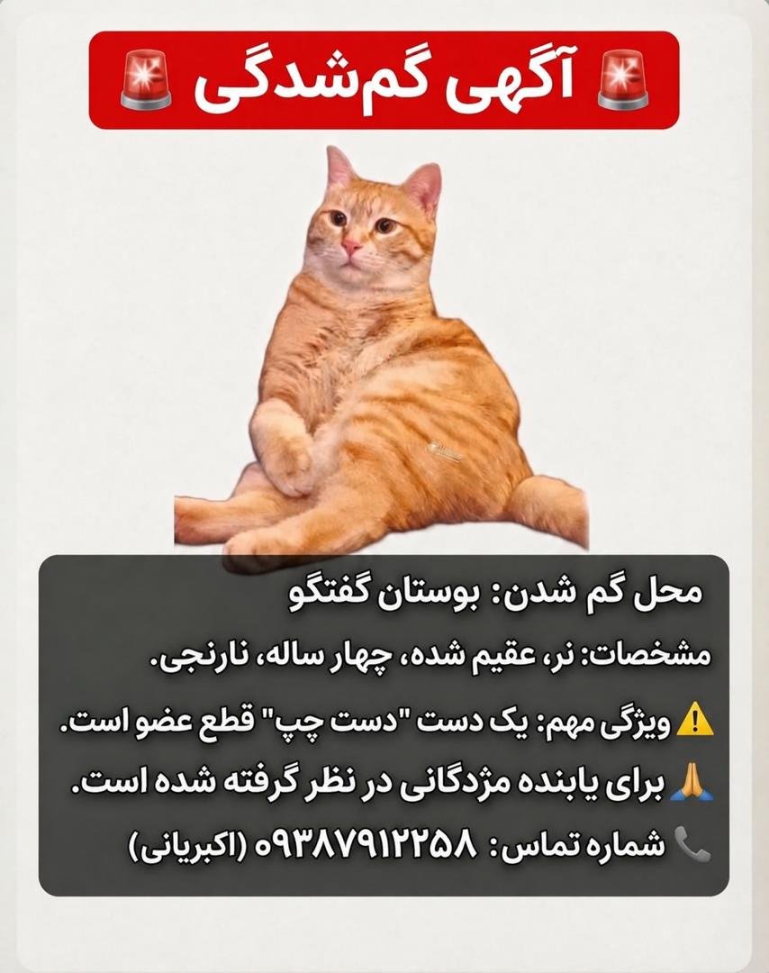 Limo90527012's tweet photo. سلام آگهی بچه منم میزارید
گیشا گم شده
@pet__koo https://t.co/iAVIOqmmsk