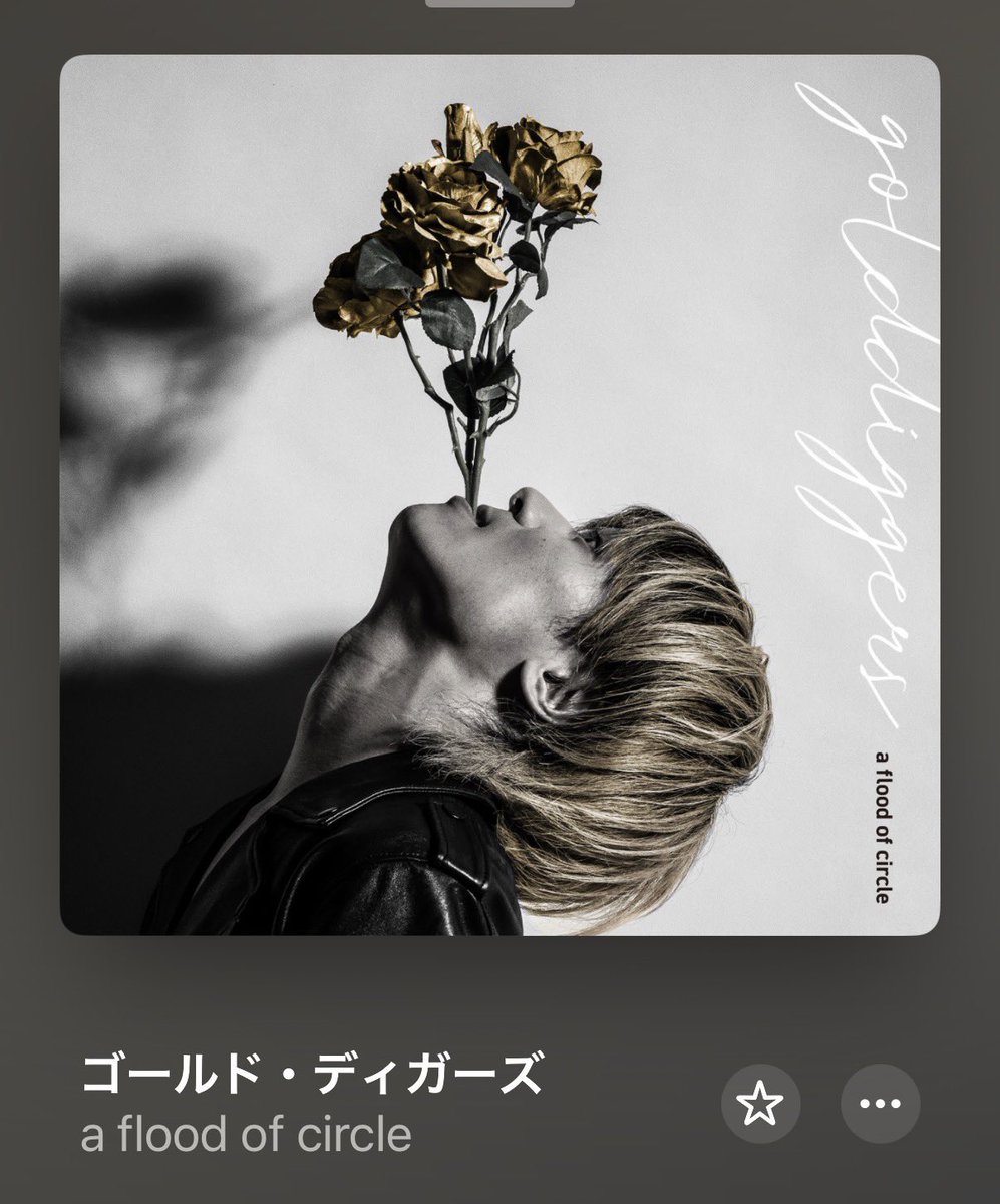 okkake_1441's tweet photo. ポンパズの海底孤城とafocのゴールドティガーズがサビの感じ似てる気がする
影響受けてたりすんのかな、だとしたら嬉しい https://t.co/9ps0nj7KvN