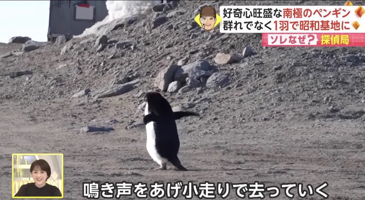 SuShI__MeShI's tweet photo. 十天衆の超越に必要な素材を見た私 https://t.co/sGDNnCtdF8