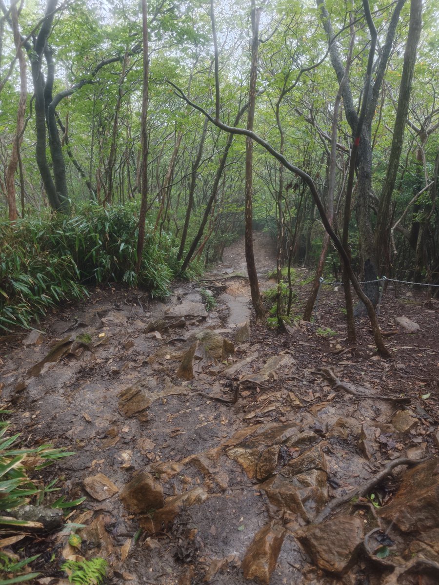Remind_HX's tweet photo. 8ヶ月ぶり労働は雨降り登山 https://t.co/ZpQCoBND86