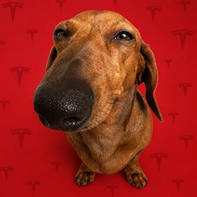 Starlight0x4's tweet photo. $LONGDOG maybe Tesla's new partner

0x95Ece92CF7341E0a2499Dd8AbD6314539CCA4FeF https://t.co/2T4BW3ZyC3