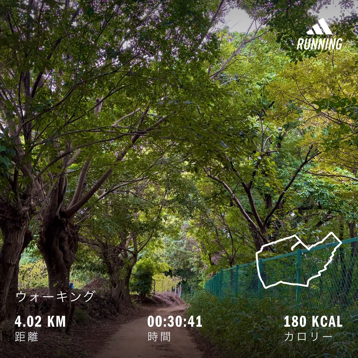 Kazahappy's tweet photo. 9月から生活道路は30km/h

散歩
焦らず、のんびり https://t.co/Ewg8lzV30z