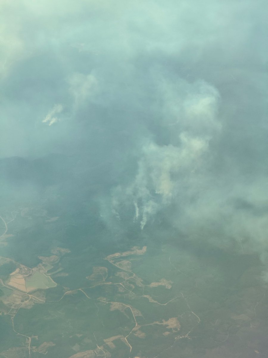 adriansyahyasin's tweet photo. Sedang dalam penerbangan di atas Kalimantan dan dengan mata kepala sendiri melihat bencana ini

Satu titik karhutla saja bisa membuat selimut asap yang luas, bayangkan ini ada 1600+ titik di seantero pulau

Ini bencana yang terjadi murni akibat inabilitas pemerintah kita dalam menangani ini semua. Sudah merambat sampai 6 negara saja masih tambeng bahkan