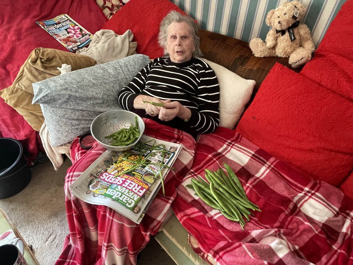 DaleE2T's tweet photo. August 30th 2022. This was the last time we had runner beans grown in the garden. And the last time mum would do the honors in preparing them - she was much better than me at doing that. #vegetables #runnerbeans https://t.co/1u3FMuoGsH