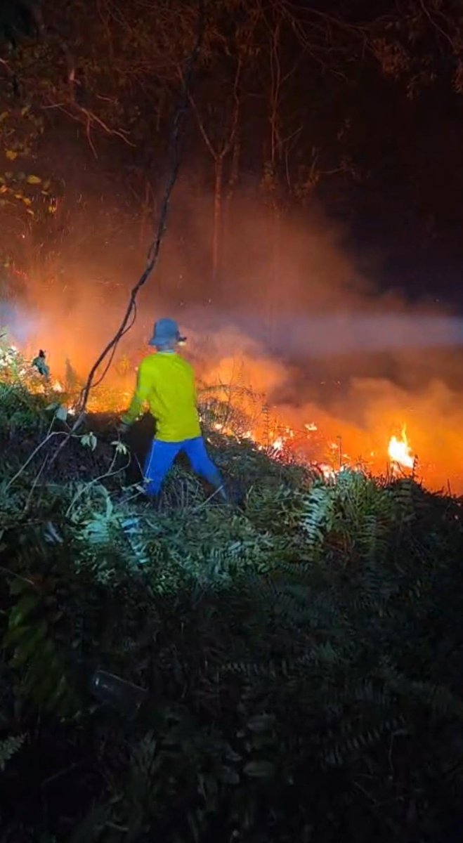 bismillahyuk_'s tweet photo. Kebakaran lahan di Singkawang Utara (sungai rasau) Malam ini, 1 September 2026

Semoga segera padam

Smoga para petugas di berikan perlindungan dalam bertugas. Amin 🤲🏻

#PrayforKalimantan
#ALLEYESONINDONESIA
#PrayforIndonesia https://t.co/yRKqBzAuCS