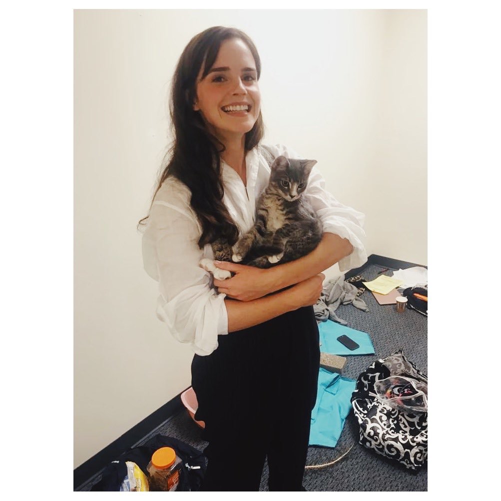 EmmaWatsonvmgo's tweet photo. 🐈 https://t.co/YQn2wQR9zP