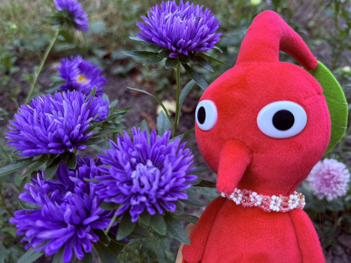 user327894373's tweet photo. ♥️💜
#ピクミン #pikmin #피크민 https://t.co/nb2294T1L2