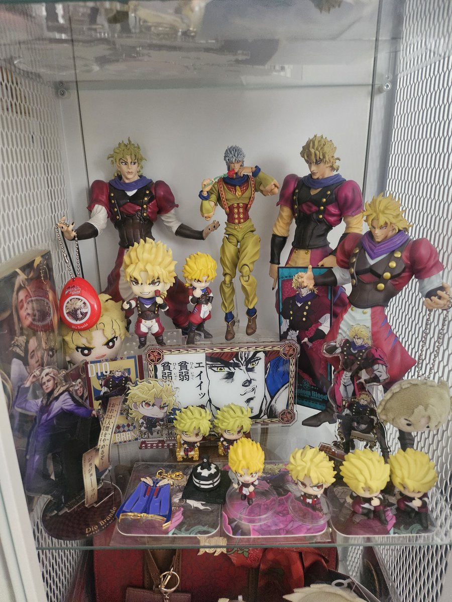 ErinaEnjoyer's tweet photo. Phantom blood shelf updates !!!! DIO is still banished to the corners until i get a new display shelf. I'm running out of space and I have a new dio package coming soon as well. .. sigh #boyclit https://t.co/qBFT5nlMsV