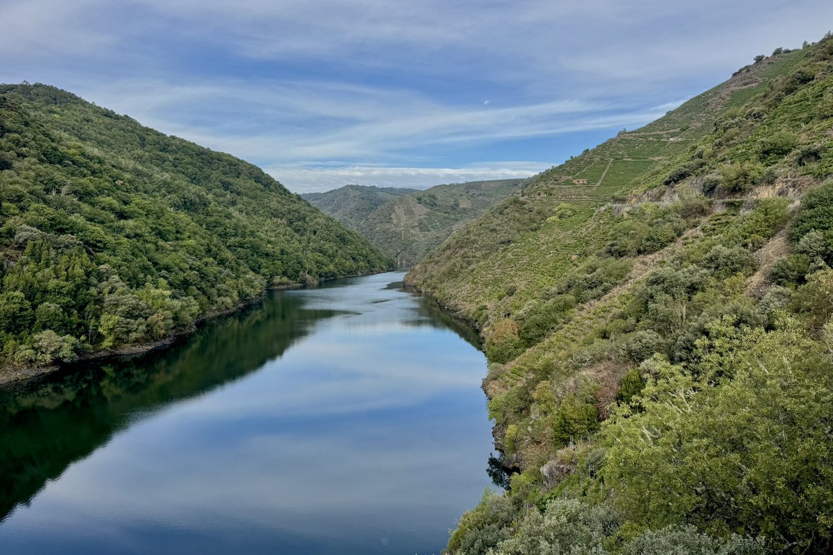 AlbertoSxenick's tweet photo. "Today's office"
#MiradoiroDosChelos #Lugo #Sober #RíoSil 
Hoy hemos venido al paraíso, que para ISO está. Para que vengamos. https://t.co/EcjwW47d9m