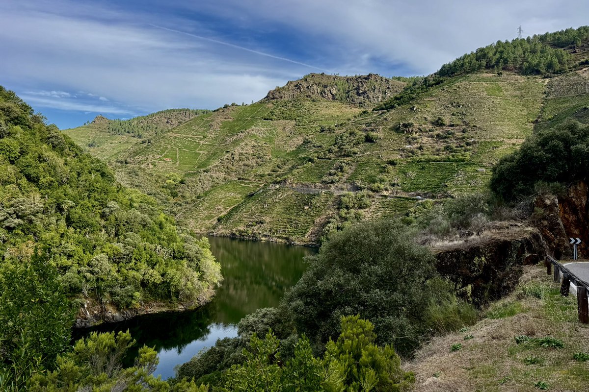 AlbertoSxenick's tweet photo. "Today's office"
#MiradoiroDosChelos #Lugo #Sober #RíoSil 
Hoy hemos venido al paraíso, que para ISO está. Para que vengamos. https://t.co/EcjwW47d9m