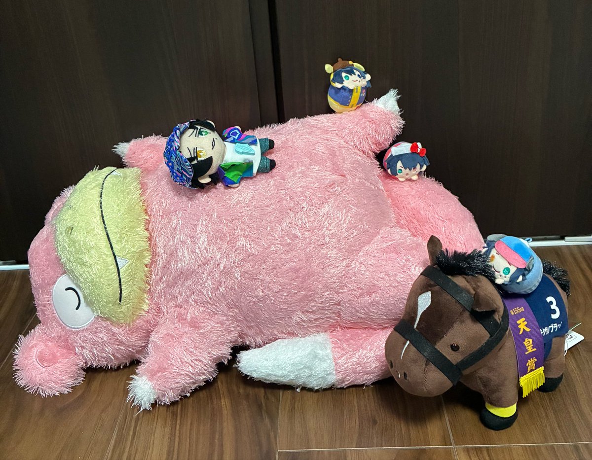 _mamemm's tweet photo. おとといの戦利品
と、せっかくおしゃれしたのに出してもらえなかったじろぬ https://t.co/FmJOualOhA