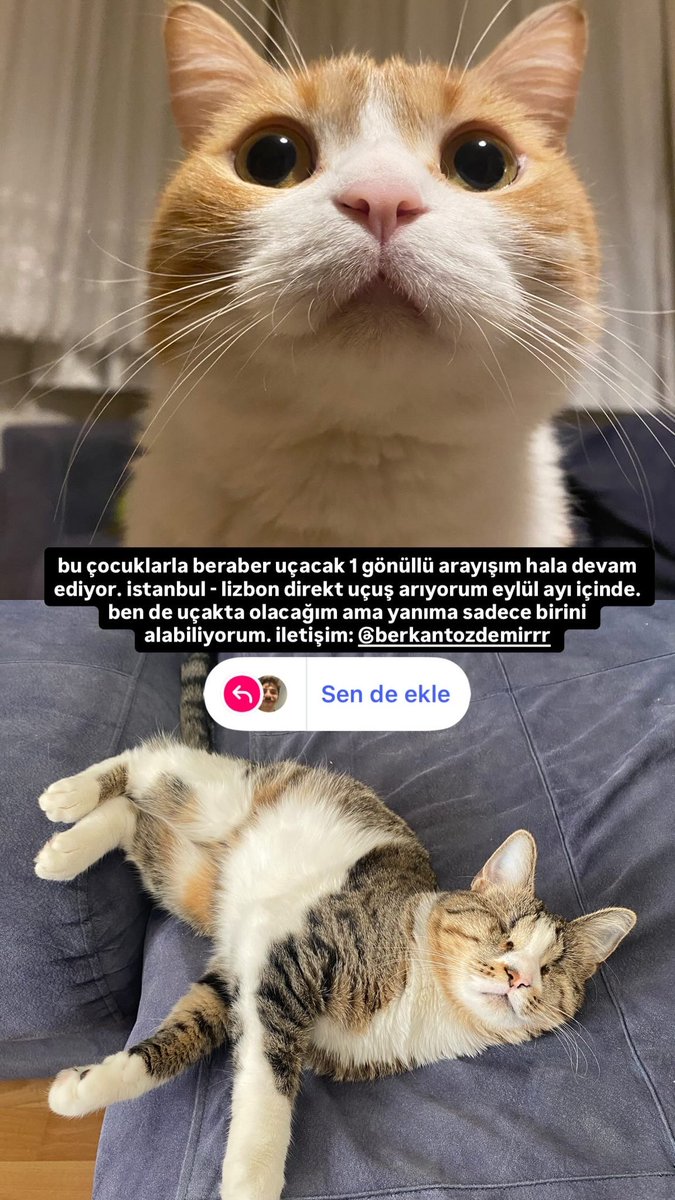 berkozberko's tweet photo. instagram’a girip paylaşabilir misiniz https://t.co/vBjz8LSeh1